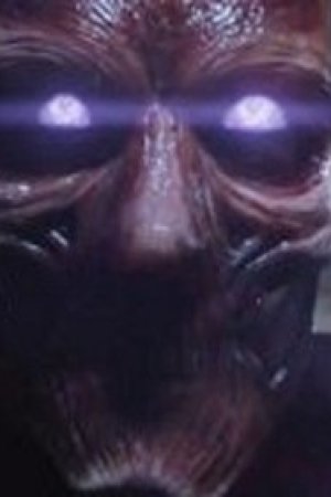 Genotip