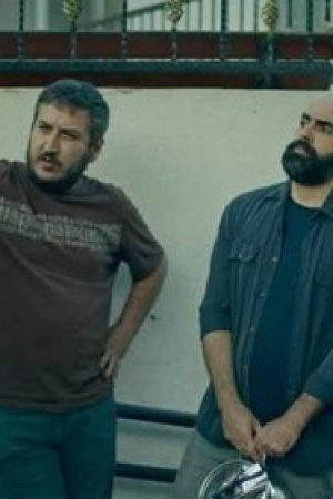 Sarışın ve Kotlu