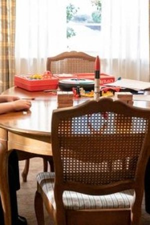 Sözleşmeler, Kurallar ve Biraz da Domuz Beyni
