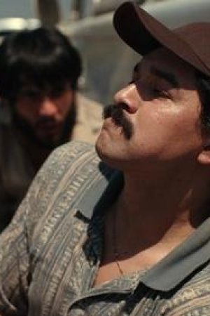 Guadalajara Uluslararası Havaalanı