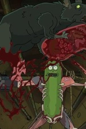 Turşu Rick