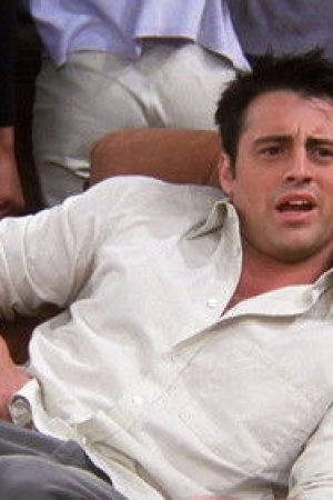 Sigortasız Joey