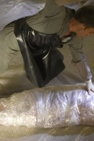 Bimini Kültürüne Uyum Sağlamak