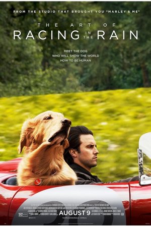 Enzo: Yağmurda Yarış Sanatı