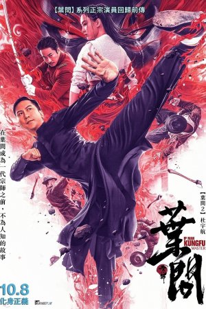 Ip Man: Kung Fu Ustası