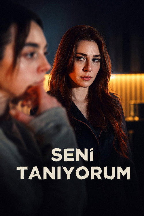 1. Sezon posteri